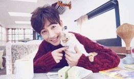 爱豆吃瓜娱乐酱朱一龙,从流量小生到实力派演员的蜕变之路